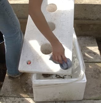 Dyrking av tomater i kapillærkasser Dyrking av tomater i kapillærkasser